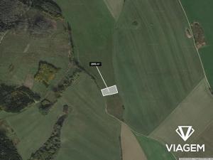 Prodej pole, Nová Říše, 2895 m2