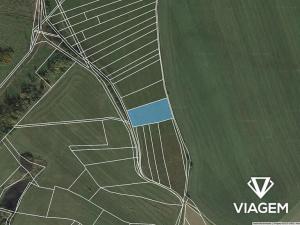 Prodej pole, Nová Říše, 2895 m2