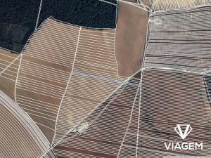 Prodej pole, Dolní Bojanovice, 3004 m2