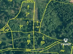 Prodej lesa, Pačejov, 539 m2