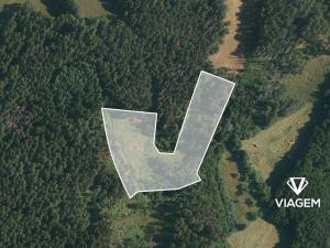 Prodej podílu lesa, Volyně, 2075 m2