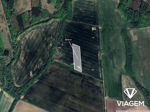 Prodej podílu pole, Soběchleby, 5037 m2