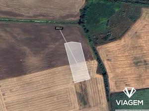 Prodej podílu pole, Milotice, 1489 m2