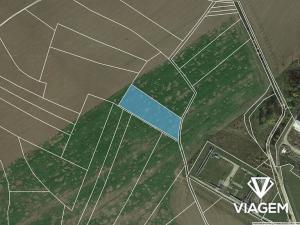 Prodej podílu pole, Blanné, 1260 m2