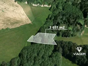 Prodej podílu lesa, Roprachtice, 684 m2