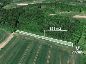Prodej lesa, Skalička, 829 m2