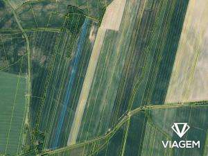 Prodej pole, Čistá, 15697 m2