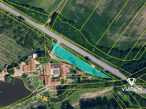 Prodej podílu lesa, Tulešice, 3694 m2