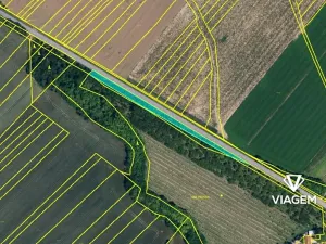 Prodej podílu lesa, Tulešice, 3694 m2