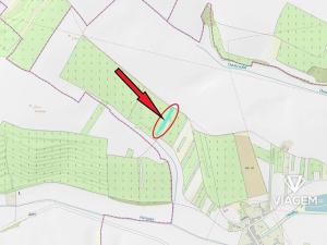 Prodej podílu sadu/vinice, Brumovice, 1723 m2