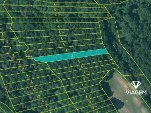 Prodej lesa, Třeboň, 1201 m2