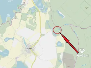 Prodej lesa, Třeboň, 1201 m2