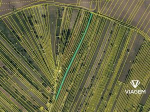 Prodej podílu sadu/vinice, Mutěnice, 511 m2