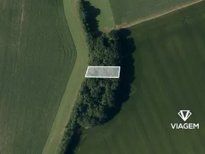 Prodej lesa, Liboš, 814 m2