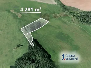 Prodej pole, Pšov, 4281 m2