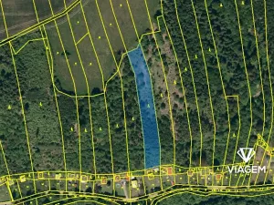 Prodej lesa, Hradec nad Moravicí, 3777 m2