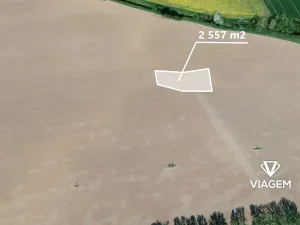 Prodej pole, Kněždub, 2557 m2