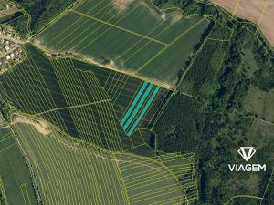 Prodej podílu pole, Choryně, 1131 m2