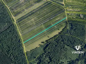 Prodej pole, Podolí, 3478 m2