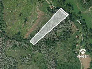 Prodej podílu lesa, Baliny, 3334 m2