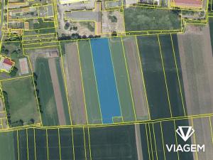 Prodej podílu pole, Křesín, 1016 m2