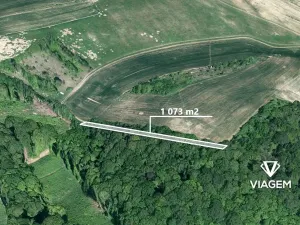 Prodej lesa, Snovídky, 1073 m2