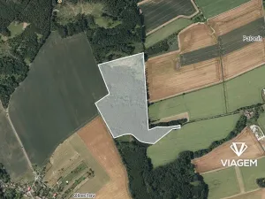 Prodej podílu lesa, Palonín, 21888 m2