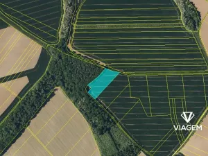 Prodej podílu pole, Dřínov, 5201 m2