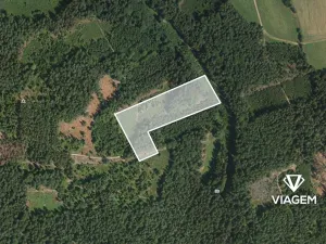 Prodej podílu lesa, Železný Brod, 27889 m2