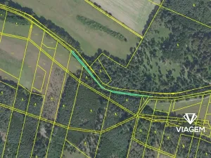 Prodej podílu lesa, Sokoleč, 1999 m2