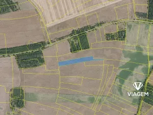 Prodej pole, Veliká Ves, 6334 m2