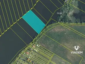 Prodej podílu rybníku, Pasohlávky, 6466 m2