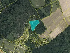 Prodej podílu lesa, Stražisko, 2108 m2