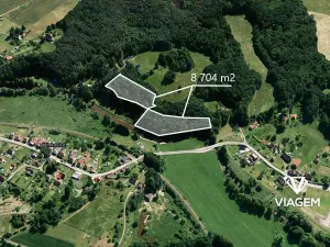 Prodej lesa, Višňová, 8074 m2