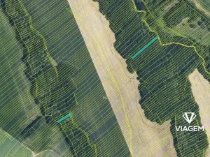 Prodej podílu lesa, Popovice, 736 m2