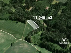 Prodej pole, Zlatá Olešnice, 11045 m2