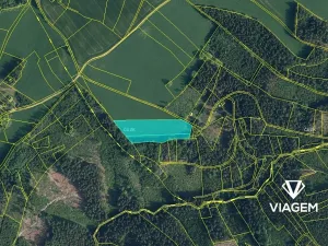 Prodej pole, Zlatá Olešnice, 11045 m2
