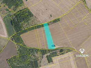 Prodej podílu pole, Veliká Ves, 6040 m2