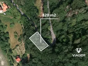 Prodej lesa, Milenov, 820 m2