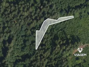 Prodej podílu lesa, Vysoké nad Jizerou, 742 m2