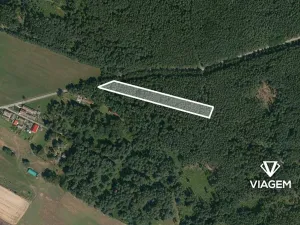 Prodej podílu lesa, Drahov, 2032 m2