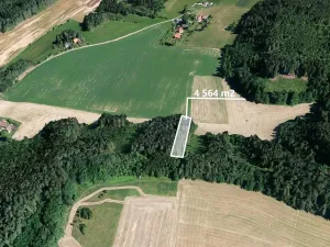 Prodej podílu lesa, Bílá, 1141 m2