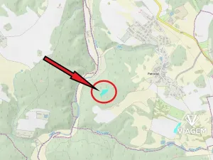 Prodej podílu lesa, Petráveč, 609 m2