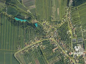 Prodej lesa, Velký Ořechov, 2756 m2