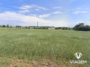 Prodej podílu pole, Tlumačov, 3989 m2