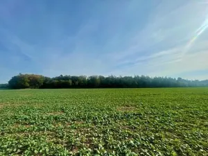 Prodej pole, Praha - Liboc, Na Padesátníku I, 24066 m2