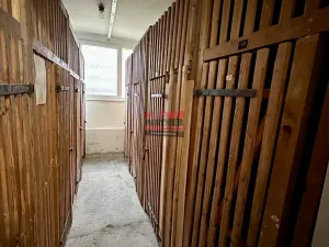 Pronájem bytu 1+1, Planá nad Lužnicí, Průmyslová, 39 m2