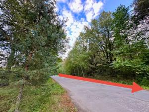 Prodej pozemku pro bydlení, Luštěnice, 9368 m2