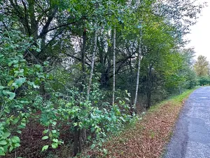 Prodej pozemku pro bydlení, Luštěnice, 9368 m2