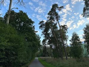 Prodej pozemku pro bydlení, Luštěnice, 9368 m2